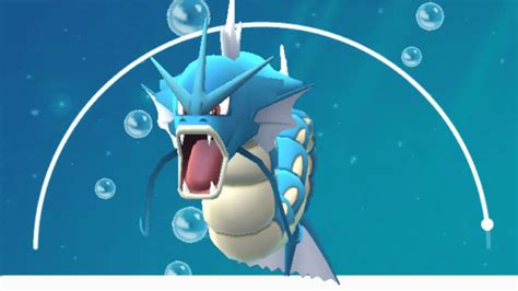 best gyarados moveset